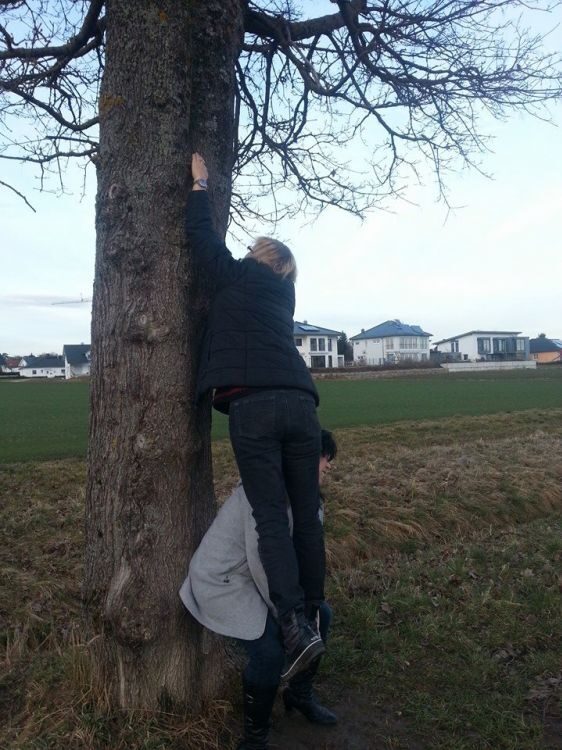 Geocache Heldenfingen 2