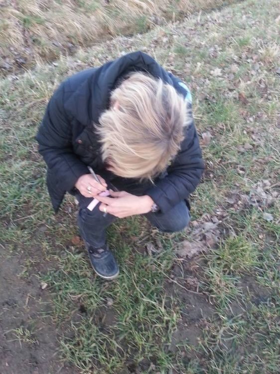 Geocache Heldenfingen 3