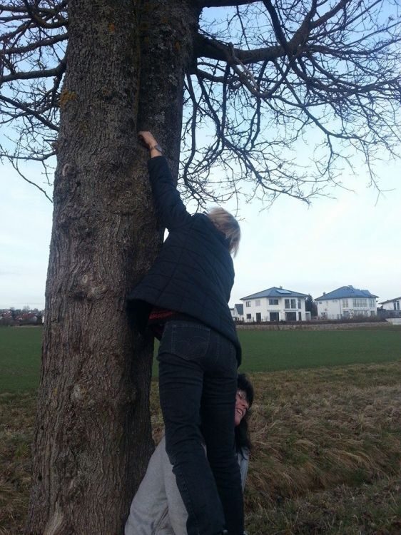 Geocache Heldenfingen 4